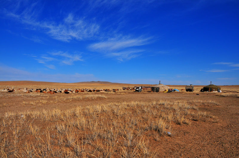Mongolie